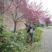 /photo/696177/枪手__/psb[8]_1_1_small.jpg